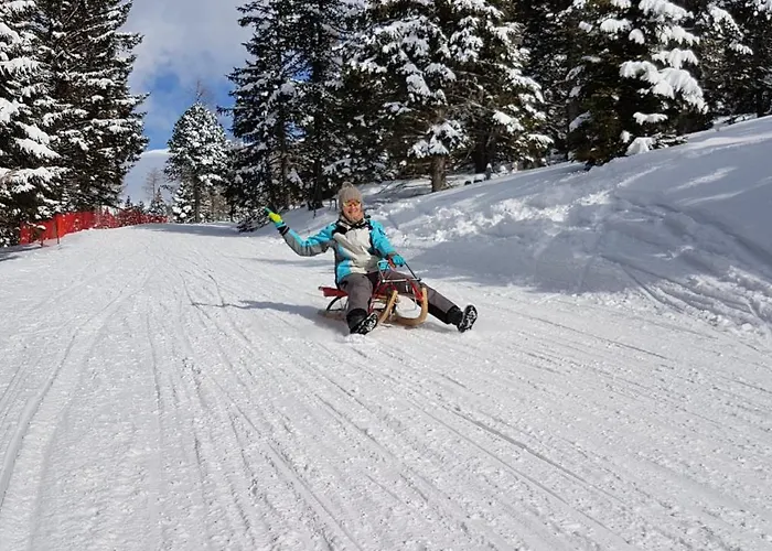 Hh-apartments アパート Scheifling