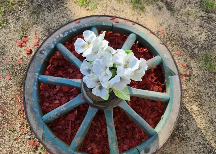 Hh-apartments * Scheifling