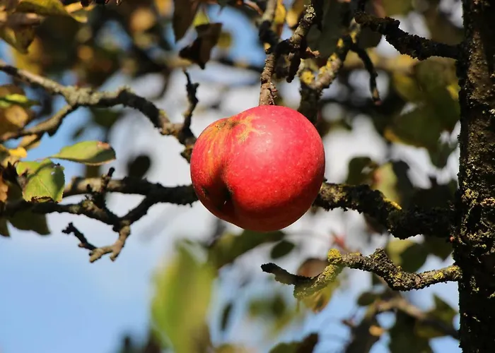 Hh-apartments شقة